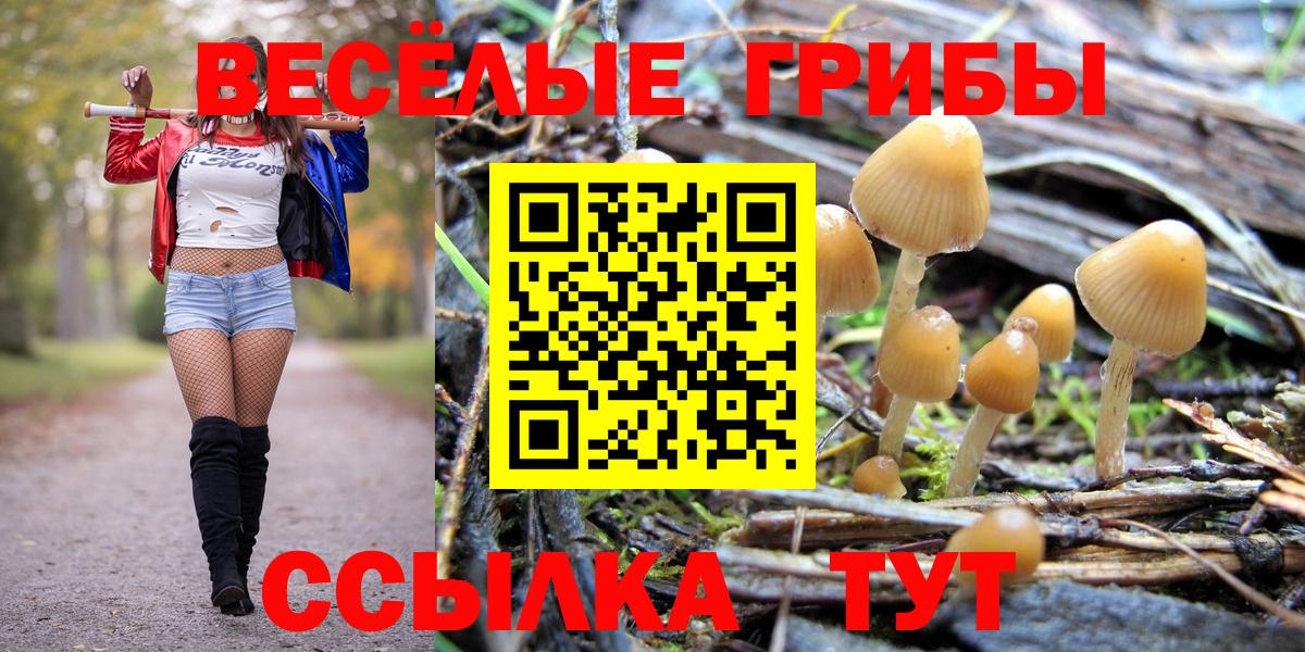 Псилоцибиновые грибы GOLDEN TEACHER Калининград