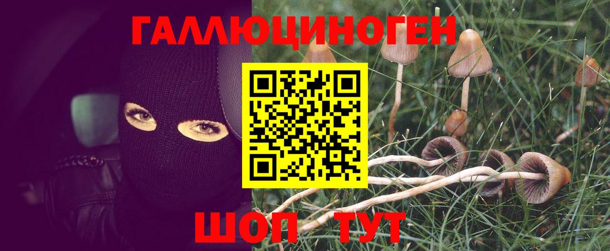 Калининград  Галлюциногенные грибы прущие грибы  закладка  Галлюциногенные грибы мицелий  Вход с VPN 